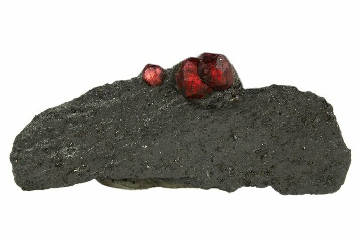 Plate of Three Red Embers Garnets in Graphite - Massachusetts #313454